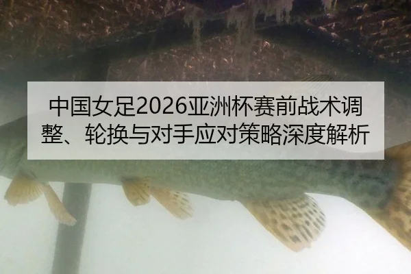 zhong-guo-nv-zu-ya-zhou-bei-sai-qian-zhan-shu-tiao-zheng-lun-huan-yu-dui-shou-ying-dui-ce-lve-shen-du-jie-xi-2-449.jpg